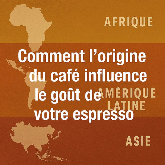 L'Origine du Café: Le Meilleur Goût Pour Votre Espresso Torréfaction des Têtes Brulées